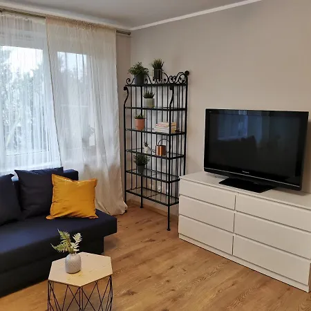 Novinea Ostrow Tumski Проживание в семье *